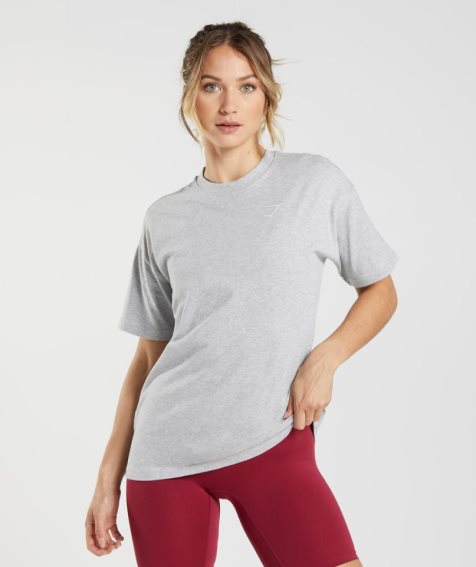 Women's Gymshark Training Oversized T-Shirts Light Grey | NZ 0XPKGT